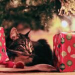 How To Stop Your Cat From Eating The Fake Christmas Tree