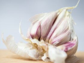 How To Cure Gonorrhea With Garlic