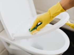 How To Remove Urine Stain From Toilet Seat