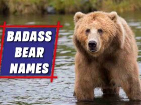 Badass Bear Names