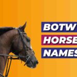 BOTW Horse Names