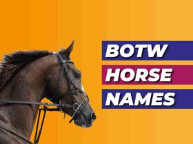 BOTW Horse Names