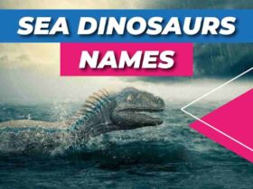 Sea Dinosaurs Names